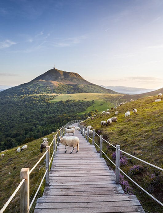 Auvergne : volcans terre de feu