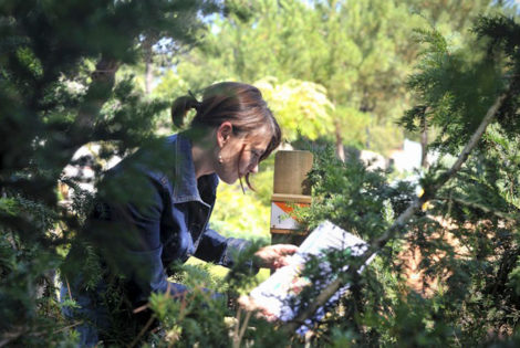 étudiant lit carte challenge course d'orientation