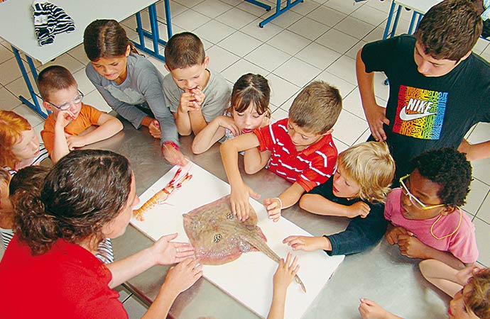 activité enfants découverte milieu marin classe de mer