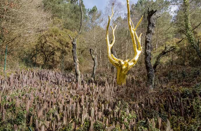 arbre magique Contes et légendes Bretagne