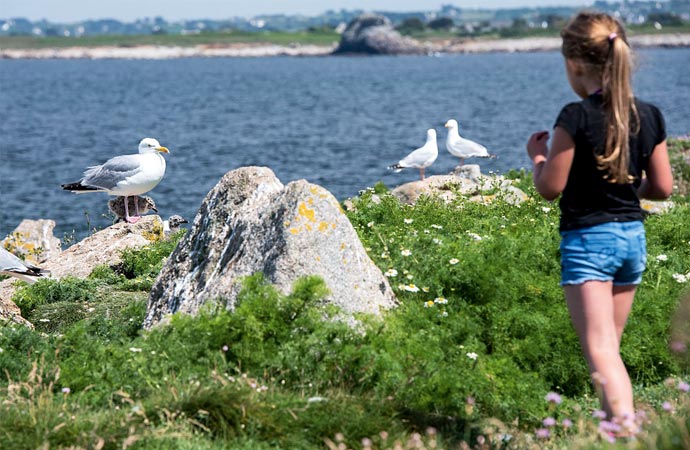 Petite fille en bord de mer avec des mouettes