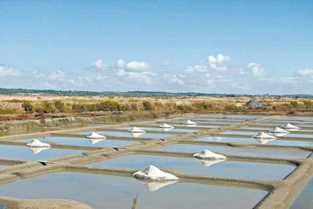 marais-salants-golfe-du-morbihan marais salants golfe du morbihan bretagne