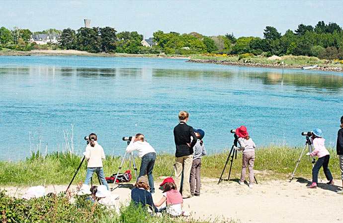 Enfants observant oiseaux étang classe de mer