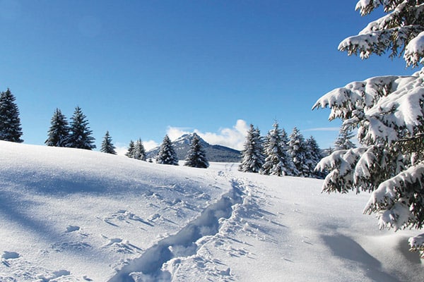 Paysage Auvergne sous la neige