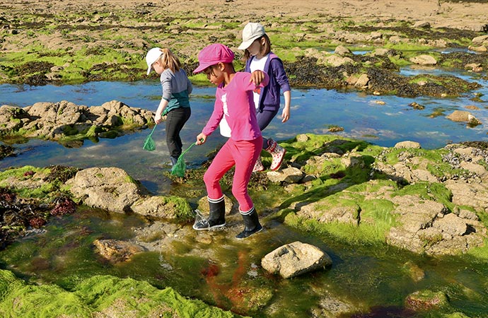 enfants pêche à pied classe de mer finistere sud