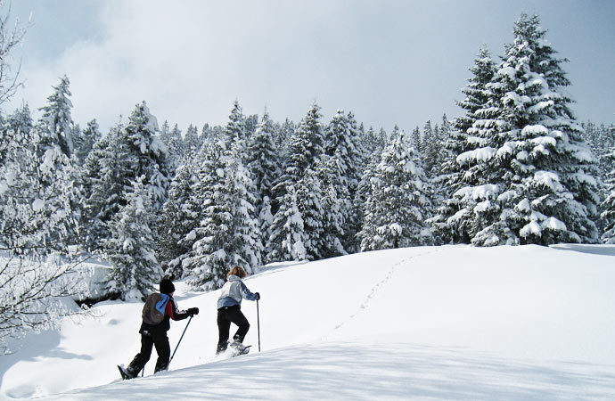 randonneurs activité raquettes neige sapins