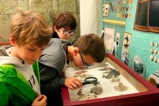 Musée d'initiation à a nature enfants observation loupe