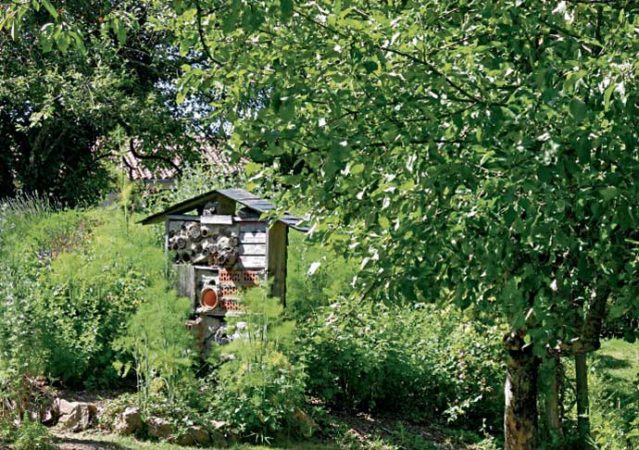 Abris à insectes en forêt