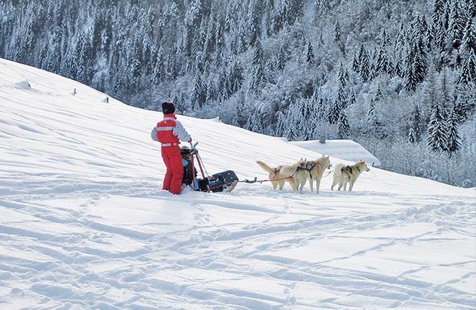 musher chiens-de-traineaux activité enfants neige classe decouvertes