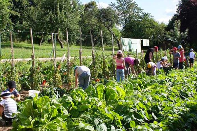 Classe de primaire dans un potager