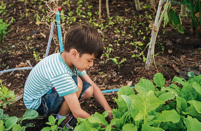 élève qui jardine dans un potager
