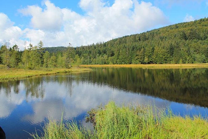paysage massif des Vosges