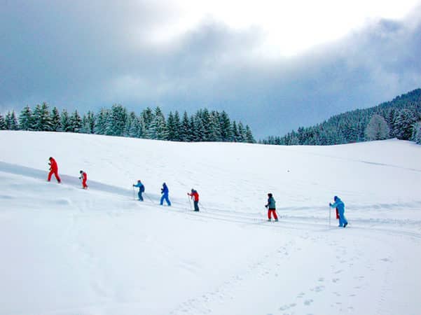 Moniteur et élèves en ski de fond