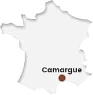 carte france camargue