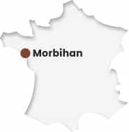 carte france morbihan
