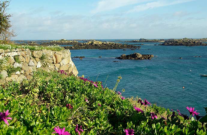iles-chausey actiivt découverte marées flore