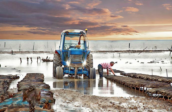 ostréiculteur grandes marées tracteur océan