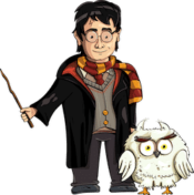 illustration harry potter hiboux
