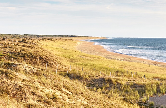 Dune vendéenne