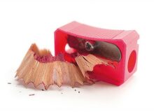 taille crayon épluchures bois