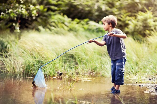 garcon-peche-epuisette-pieds-eau Petit garçon qui pêche à l'épuisette les pieds dans l'eau