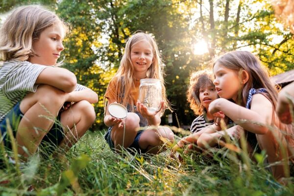 élèves en atelier exploration de la faune sauvage et création d'un abri