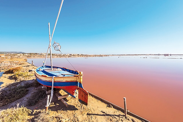 Salins de Gruissan Languedoc
