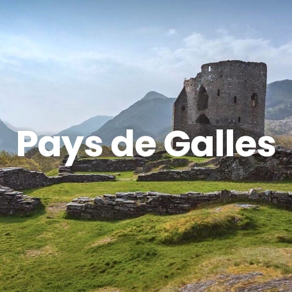 Visite de Cardiff et des environ ppendant le voyage scolaire au Pays de Galles
