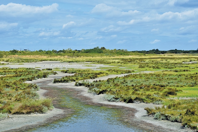 Paysage estuaire de l'Orne