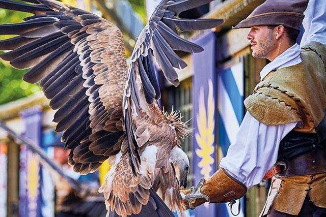 spectacle rapace faucon puy-du-fou