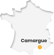 carte de france camargue