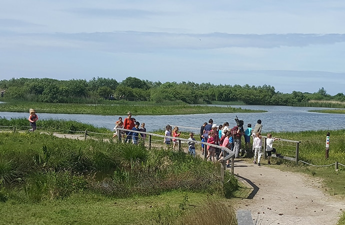 Visite d'un groupe scolaire dans le parc de Marquenterre en baie de Somme