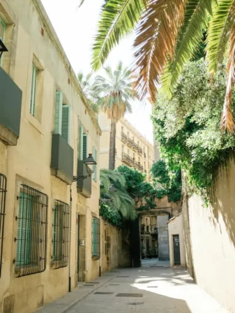 Rue ensoleillée avec palmiers en Espagne