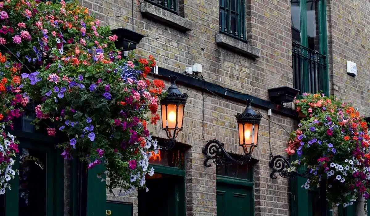 bâtiment ville de Dublin fleurie