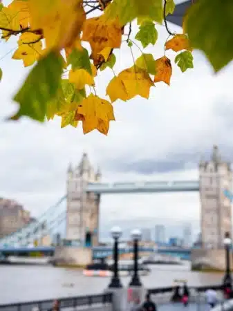 Pont Tower Bridge à Londres en automne