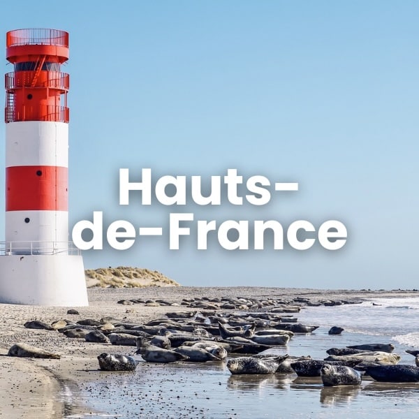 Phare rouge et phoques sur plage en Hauts-de-France