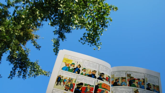 BD de tintin en extérieur par beau temps