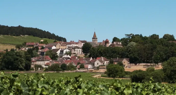 village dans la bourgogne dans la nature