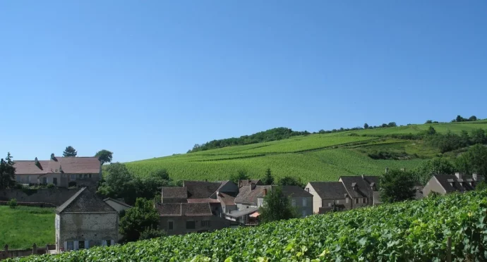 bourgogne nature champs et village