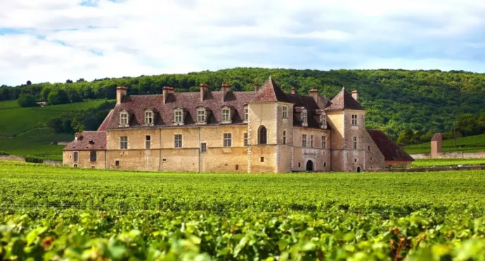 chateau en bourgogne au milieu de la nature