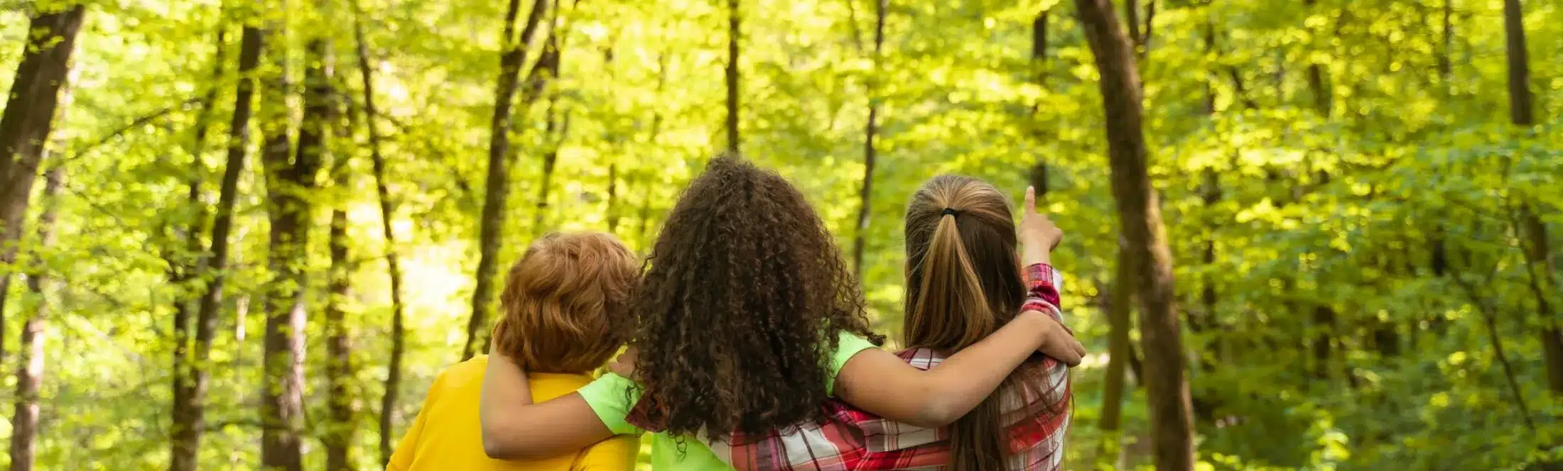 élèves dans la nature et environnement
