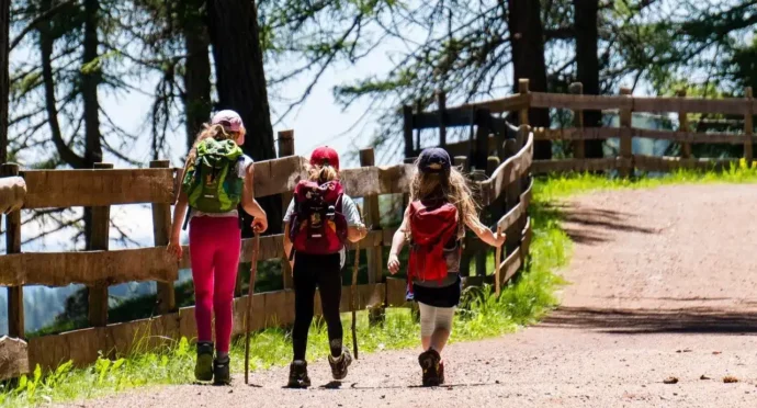 eleves en randonnée en montagne lors d'une classe decouverte