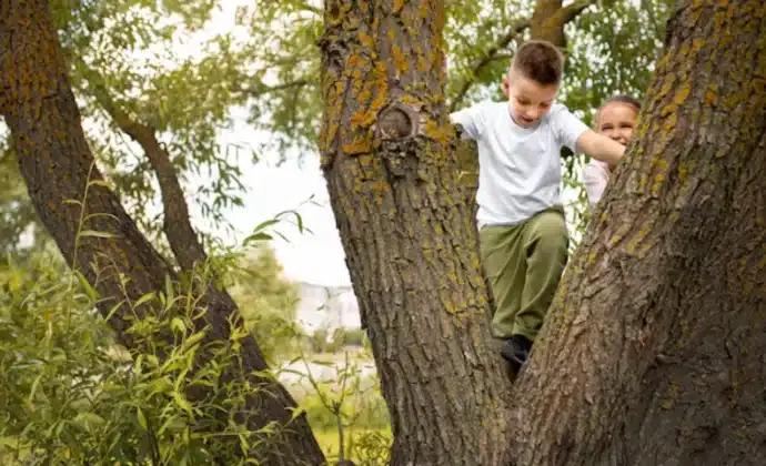 eleves jouant dans la nature et les arbres