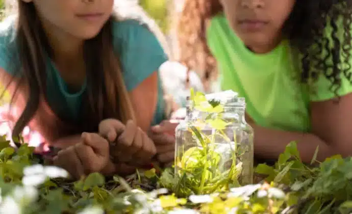 eleves observant nature bocal