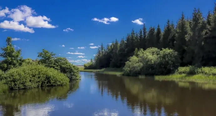 rivière dans la nature en auvergne