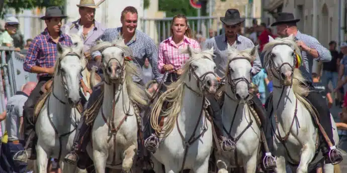 tradition manadier chevaux blancs en camargue