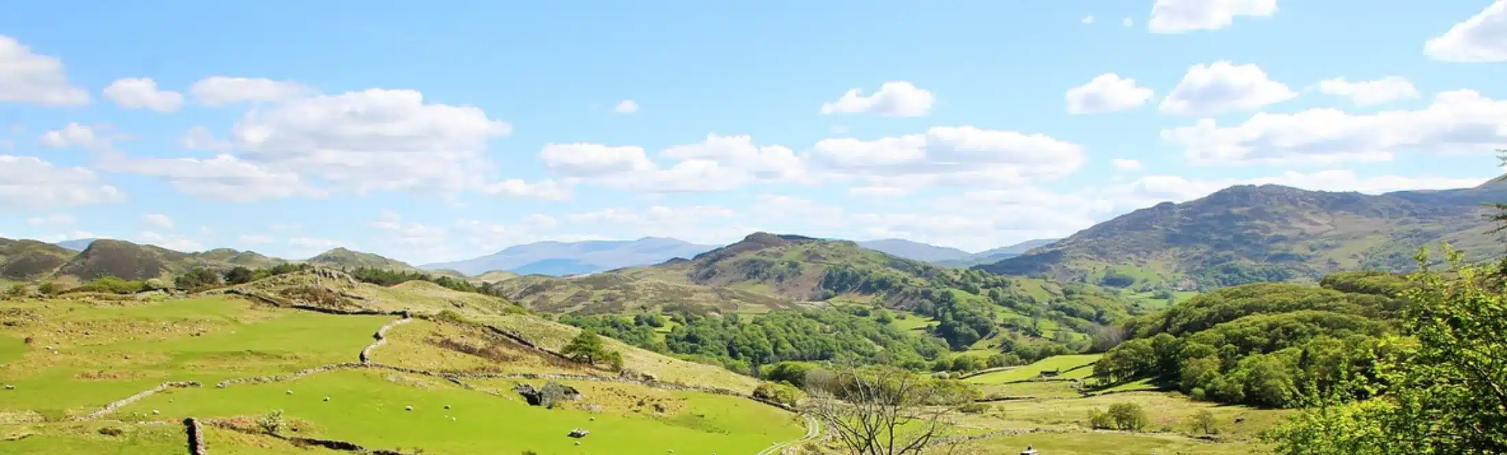 paysage voyage scolaire au Pays de Galles